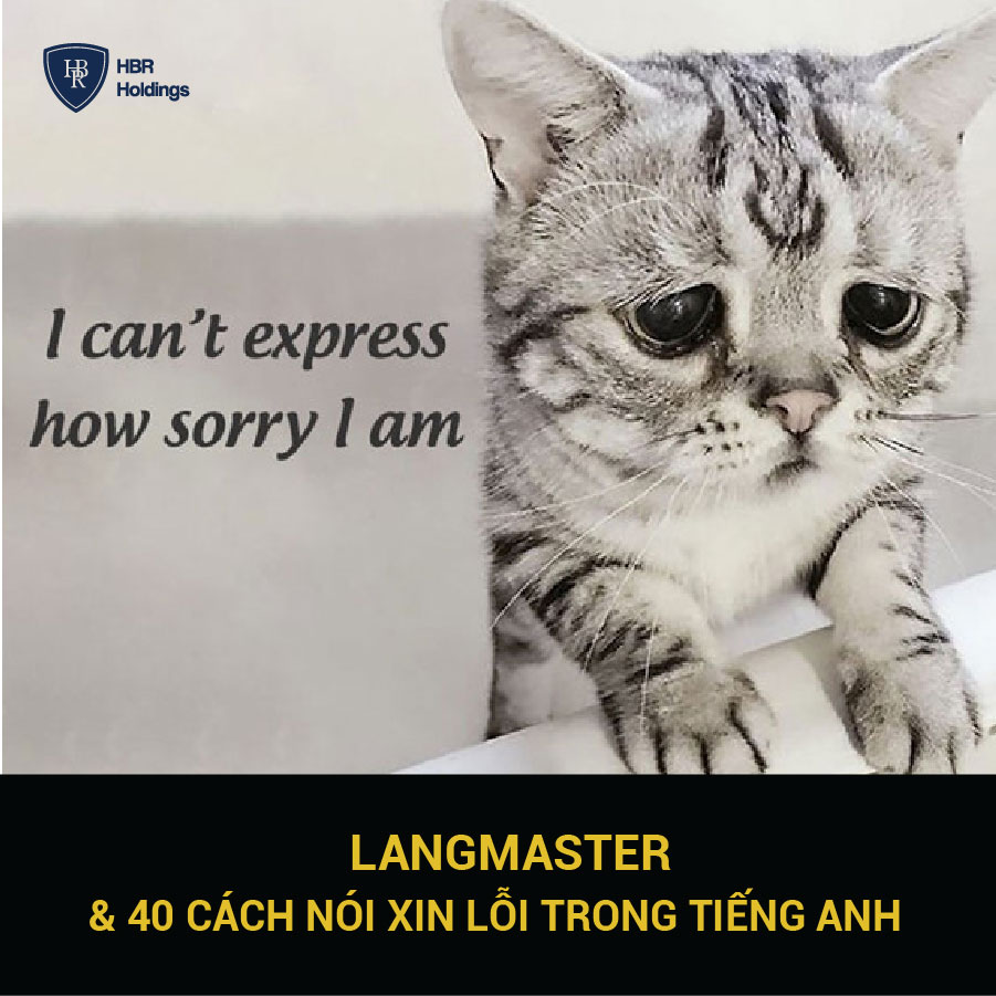 [Thanhnien] Langmaster: Tuyển tập 40 câu ‘xin lỗi’ hay nhất trong tiếng Anh