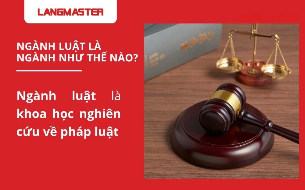 Ngành luật bao gồm các quy phạm pháp lý trong quan hệ xã hội