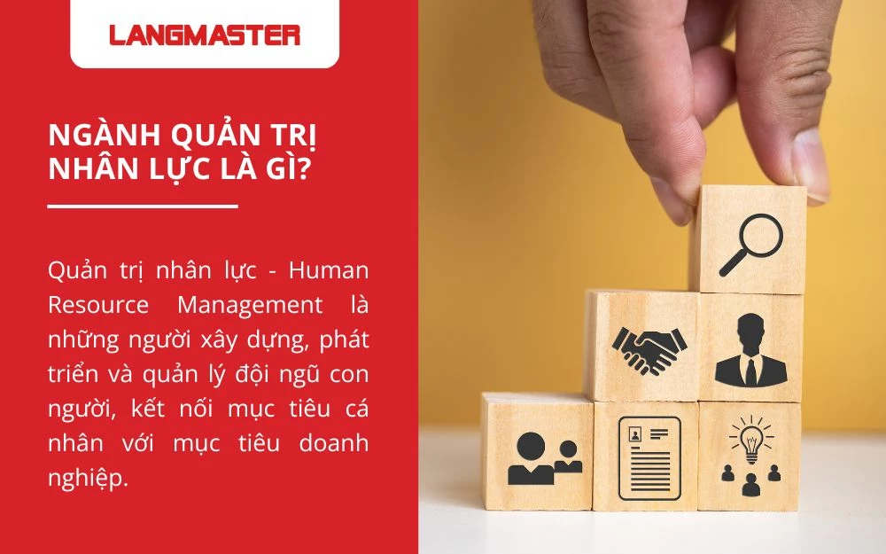 Ngành quản trị nhân lực - Human Resource Management