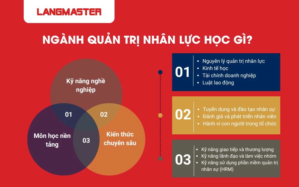 Ngành quản trị nhân sự đào tạo người học hiểu về con người và cách vận hành tổ chức