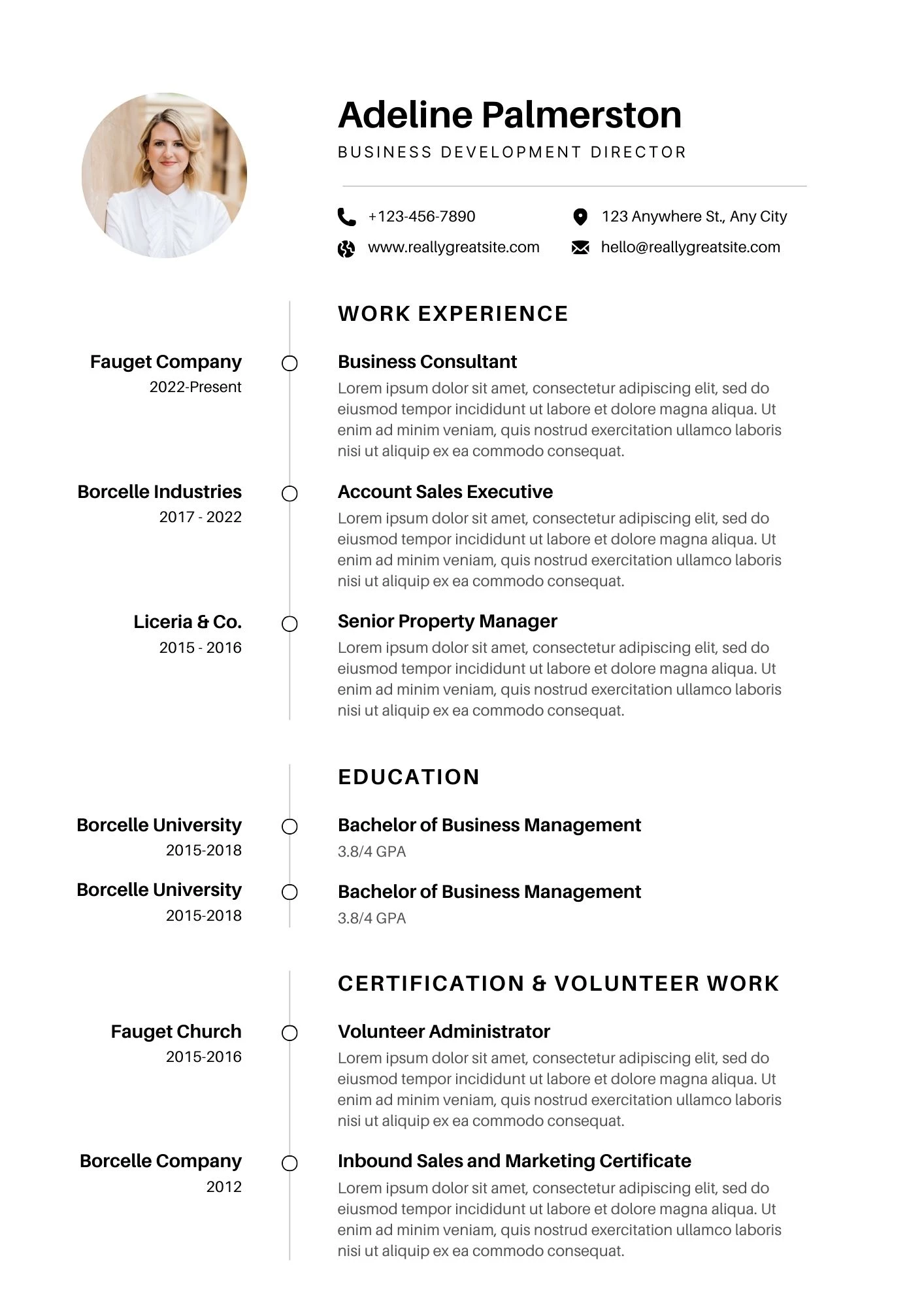 Mẫu CV giám đốc kinh doanh phong cách hiện đại cho startup