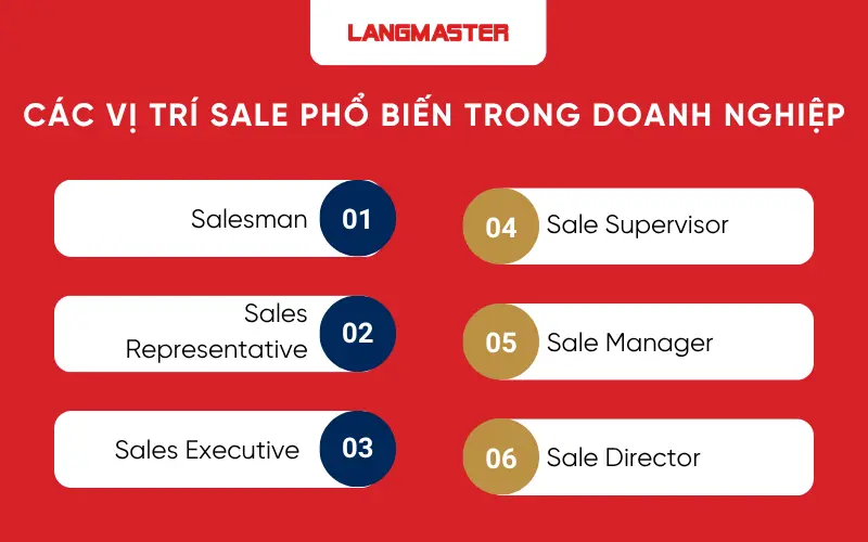 Các vị trí sale phổ biến trong doanh nghiệp
