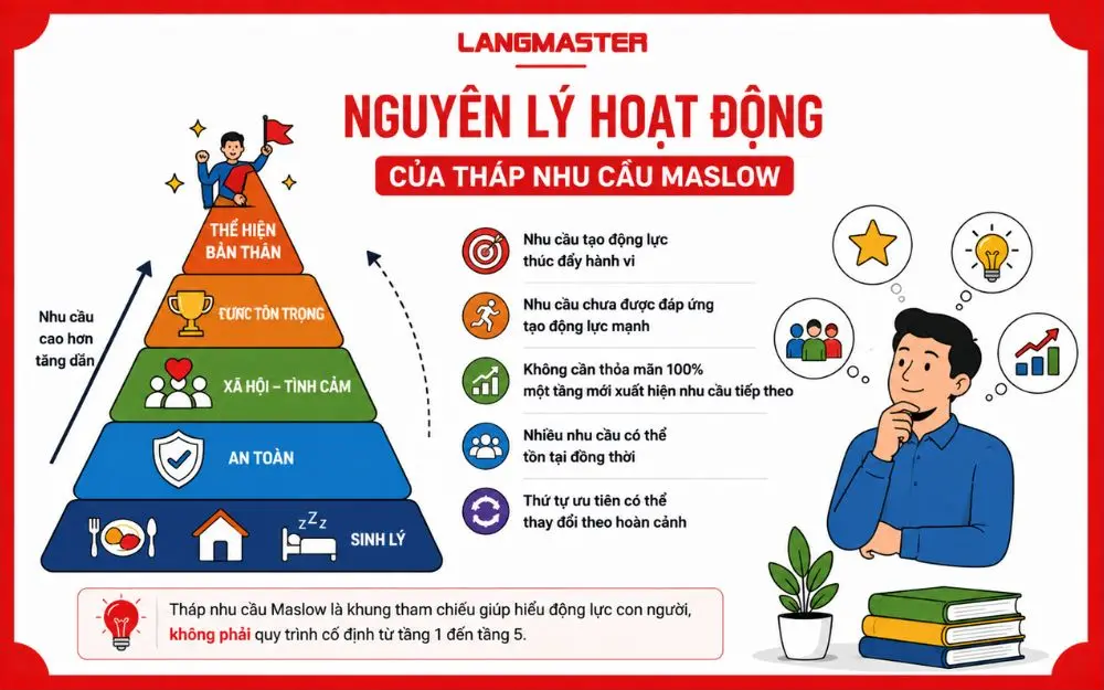 Nguyên lý hoạt động của Tháp Maslow cho thấy nhu cầu tạo động lực và thay đổi theo hoàn cảnh.
